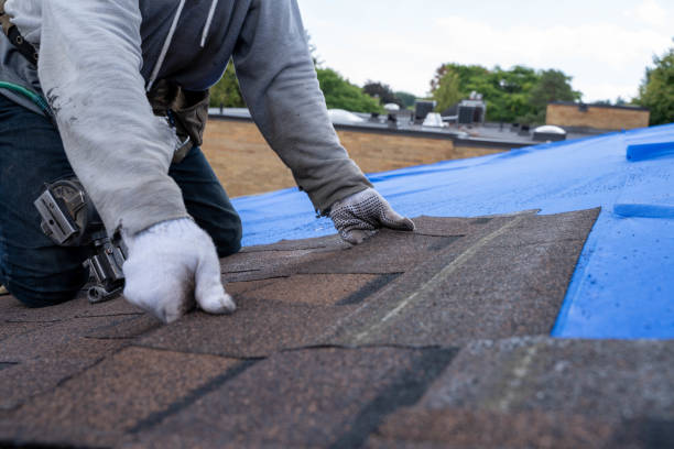 Best Storm Damage Roof Repair  in Morrisonville, NY