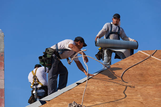 Best Gutter Installation and Roofing  in Morrisonville, NY