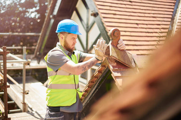 Best Storm Damage Roof Repair  in Morrisonville, NY